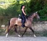 Tr&egrave;s belle jument PRE PP