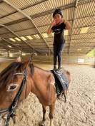 Poney type pottok 7 ans ONC