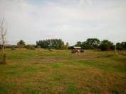 Recherche associ&eacute;(e)