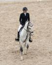 Poney de sport