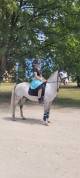 Poney de sport