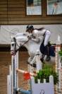 Gelding French Saddle Pony For sale 2017 Grey