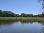 ? Domaine &eacute;questre de prestige avec &eacute;tang priv&eacute;  10 hec