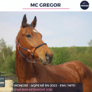 MC GREGOR - AQPS - 4 ANS