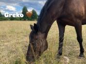 Demi-pension pour travail en exterieur et sur le plat