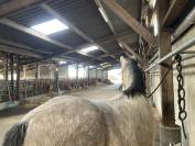 Demi-pension pour travail en exterieur et sur le plat