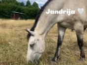 Demi-pension pour travail en exterieur et sur le plat