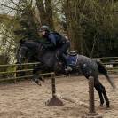 Gelding English Thoroughbred For sale 2021 Grey