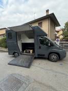 Can Trasporto Cavalli Ducato