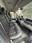 Can Trasporto Cavalli Ducato