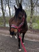 A vendre / &agrave; confier 