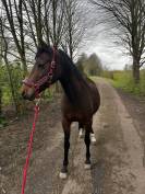 A vendre / &agrave; confier 