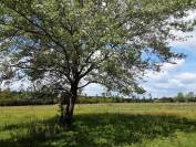 Pension Cheval 44, 49