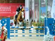 Jument 12 ans, gagante 110cm, pr&ecirc;te pour les 120 cm