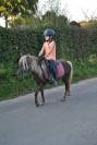 Adorable jument Classic Pony - 6 ans &ndash; 104 cm
