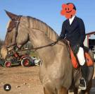 Selle fran&ccedil;ais sport 