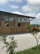 Pensione Cavalli - fide e mezzefide