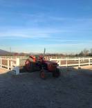 Pensione Cavalli - fide e mezzefide