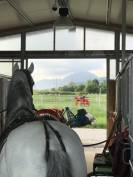 Pensione Cavalli - fide e mezzefide