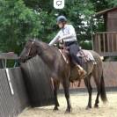 KALA - Quarter Horse Grullo