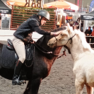 Veulen (ml) PRE Puur Ras Spaans Te koop 2025 Palomino ,  ADAGIO CALLER