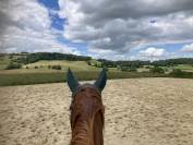 Stages &eacute;quitation &ndash; Haras Au C&oelig;ur des Possibles