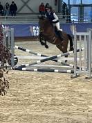 Apprenti CS jeunes chevaux