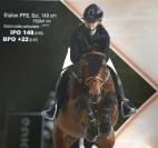 MAGNIFIQUE POULAIN D par frenchcornet d&rsquo;odival PFS par 