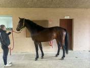 LARTIST des PEUPLIERS &mdash; 5 ans, pr&ecirc;t &agrave; performer 