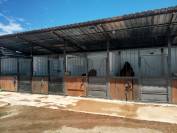 Centro ecuestre pasos de plata 