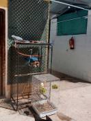 Centro ecuestre pasos de plata 