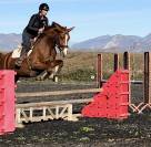 Jument SF polyvalente