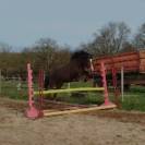 Merrie Connemara Te koop 2021 Donker bruin / bai ,  TITUS DE LIAF