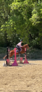 Poney fran&ccedil;ais de selle 8 ans 