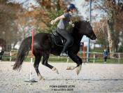 Super Ponette &agrave; vendre 