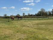 Propri&eacute;t&eacute; &eacute;questre cl&eacute; en main avec man&egrave;ge et carri&egrave;re -