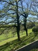 DOMAINE &Eacute;QUESTRE D&rsquo;EXCEPTION SUR 19 H