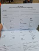 Jument 6 ans &agrave; vendre