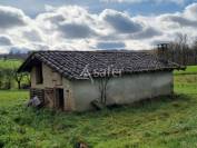 Maison et d&eacute;pendances agricoles sur 4 hectares - Proche Toulous