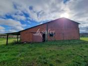 Maison et d&eacute;pendances agricoles sur 4 hectares - Proche Toulous