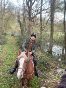 Magnifique Demi-Sang Arabe OC 12 ans Palomino