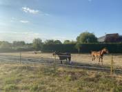 Proche UZES - confort et passion equestre