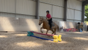 Gentil Poney C 6 ans 140 cm palomino