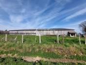 Sheep farm  Haute-Vienne