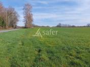 Sheep farm  Haute-Vienne