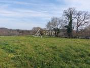 Sheep farm  Haute-Vienne