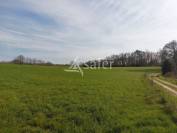 Sheep farm  Haute-Vienne