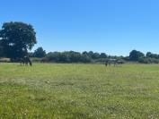 Centre d&rsquo;ins&eacute;mination / haras 