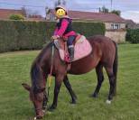 Ponette C 8 ans polyvalente pour loisir sport balade 