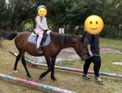 Ponette C 8 ans polyvalente pour loisir sport balade 